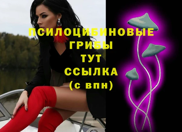мет Богданович