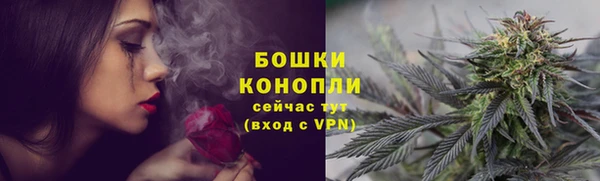 mix Богородск