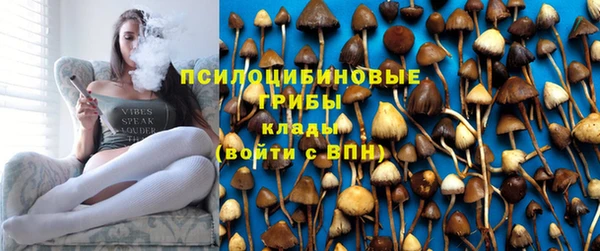 mix Богородск