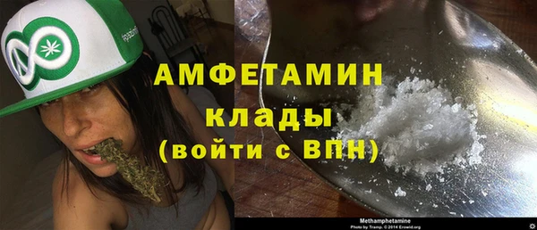ALPHA PVP Богородицк