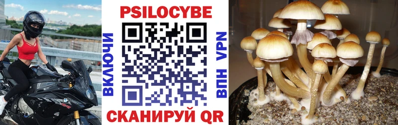 Псилоцибиновые грибы Cubensis  Трёхгорный 