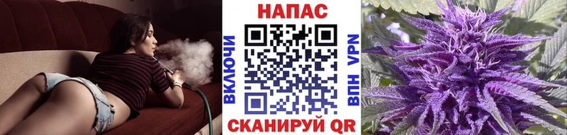 МЕГА ТОР  Трёхгорный  Бошки Шишки White Widow 